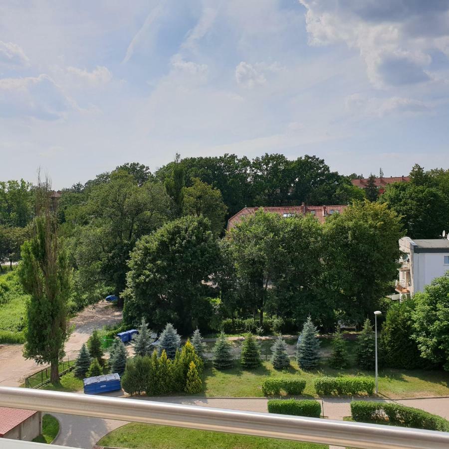 Apartament Calamo